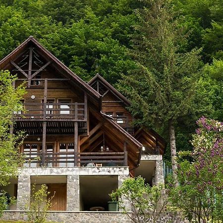 Florile Bucegilor Villa Sinaia Exterior photo