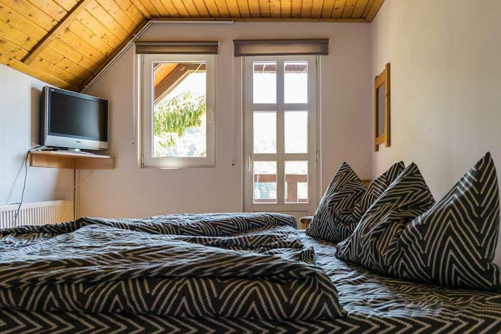 Florile Bucegilor Villa Sinaia Exterior photo