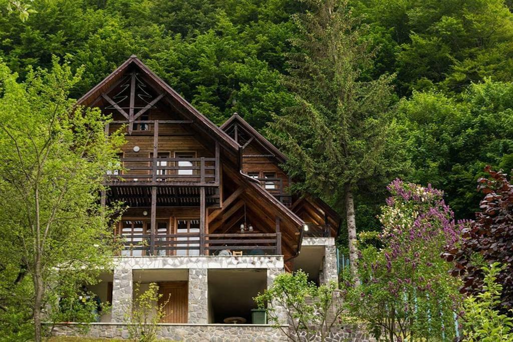 Florile Bucegilor Villa Sinaia Exterior photo
