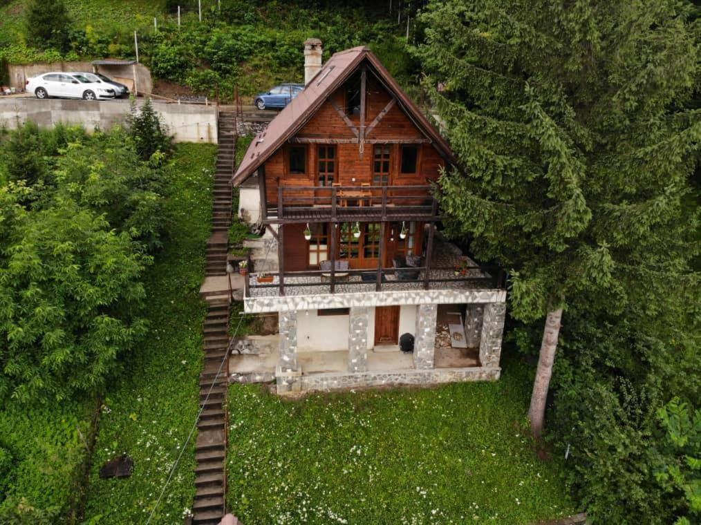 Florile Bucegilor Villa Sinaia Exterior photo